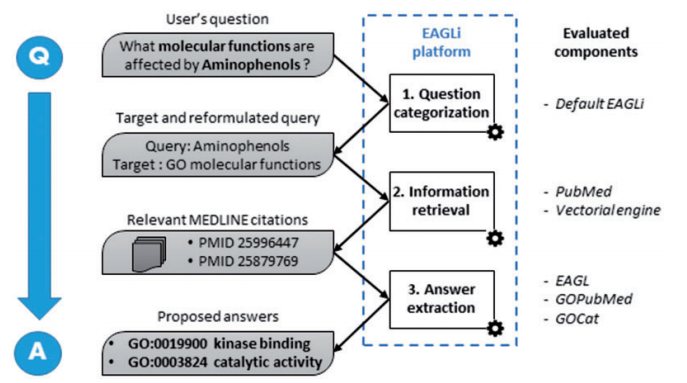 File:2015 DeepQuestionAnsweringforProtein Fig3.png
