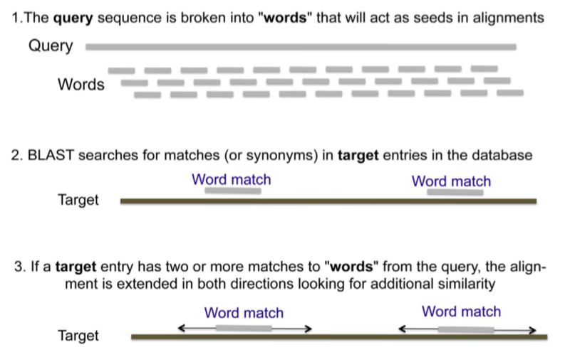 File:2021OConnor BLAST.png