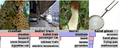 Thumbnail for version as of 21:12, 24 October 2020