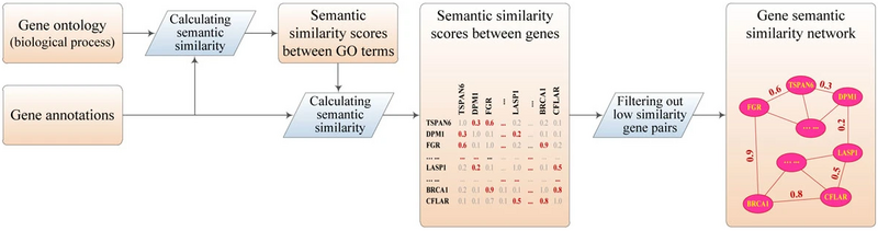 2011 ConstructingaGeneSemanticSimila Fig1.png