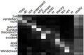Thumbnail for version as of 09:41, 5 July 2020
