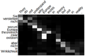Thumbnail for version as of 09:41, 5 July 2020